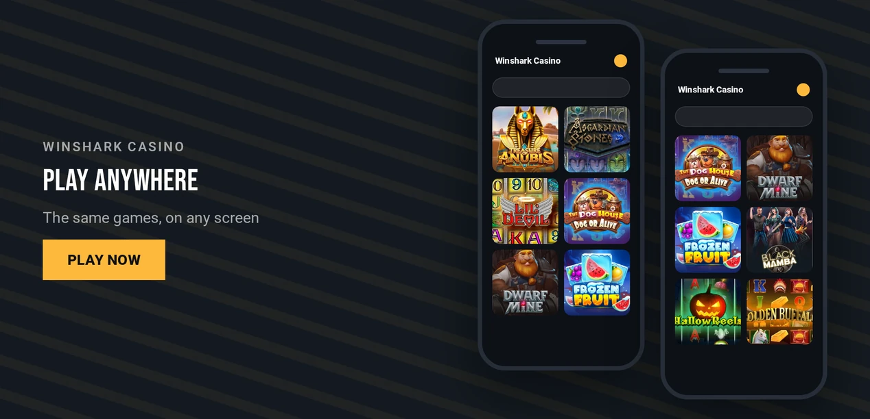 Explore dual smartphone slots